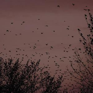 国产精品㊙️入口涩里番
