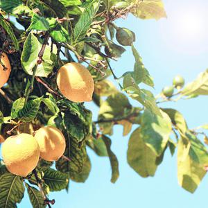 国产精品㊙️入口涩里番
