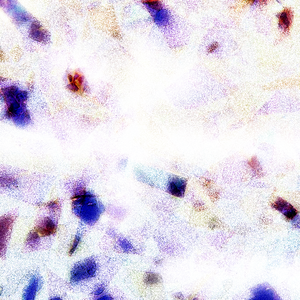 国产精品㊙️入口涩里番
